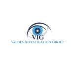 Valdes Investigation Group Profile Picture