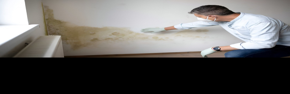 The Mould Assessors Cover Image