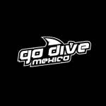 Go Dive Mexico profile picture