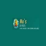 Mo's Birds profile picture